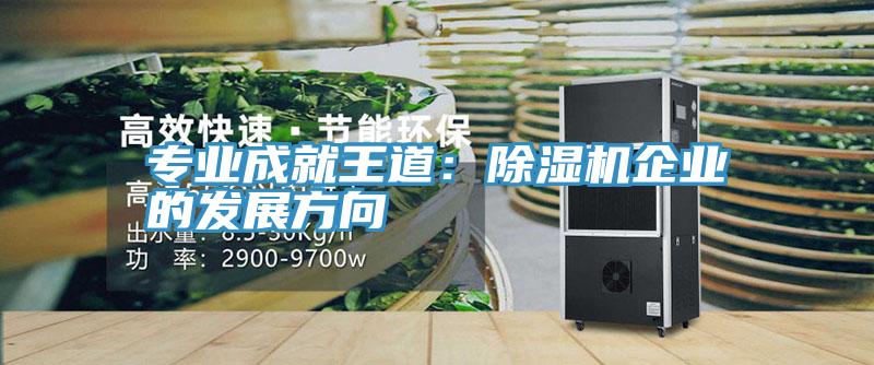 專業(yè)成就王道:除濕機(jī)企業(yè)的發(fā)展方向