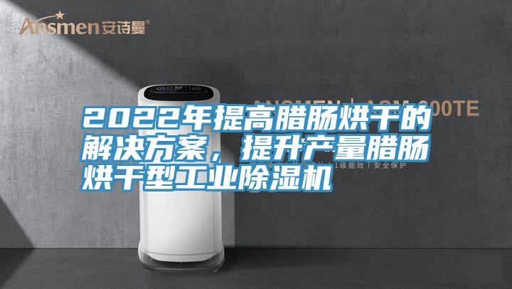 2022年提高臘腸烘干的解決方案,提升產(chǎn)量臘腸烘干型工業(yè)除濕機(jī)