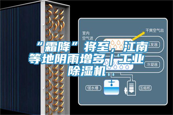 “霜降”將至,江南等地陰雨增多|工業(yè)除濕機(jī)