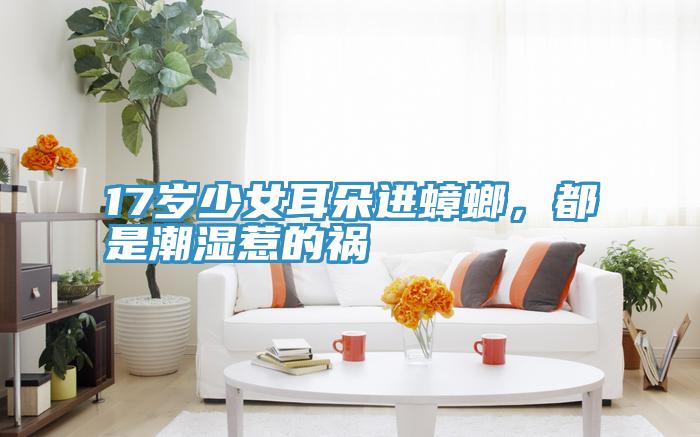 17歲少女耳朵進(jìn)蟑螂,都是潮濕惹的禍