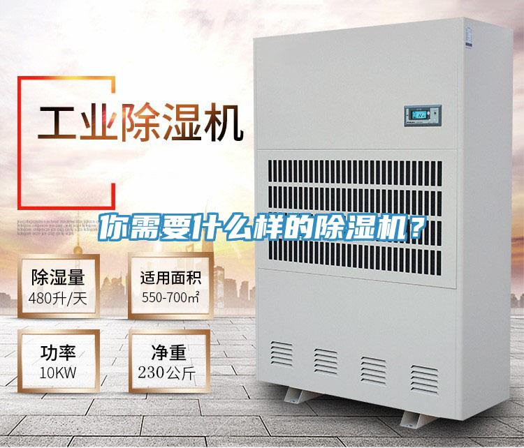 你需要什么樣的除濕機(jī)?