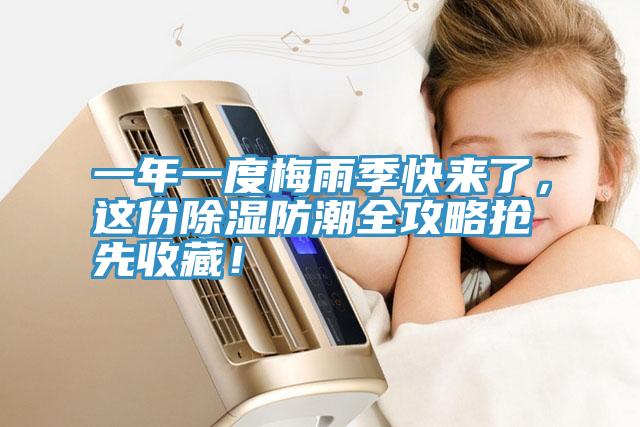 一年一度梅雨季快來了，這份除濕防潮全攻略搶先收藏！