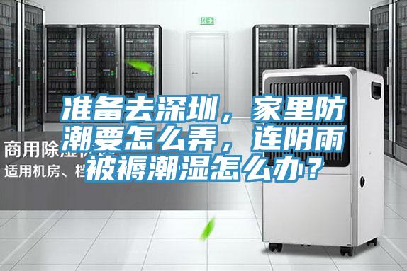 準備去深圳，家里防潮要怎么弄，連陰雨被褥潮濕怎么辦？