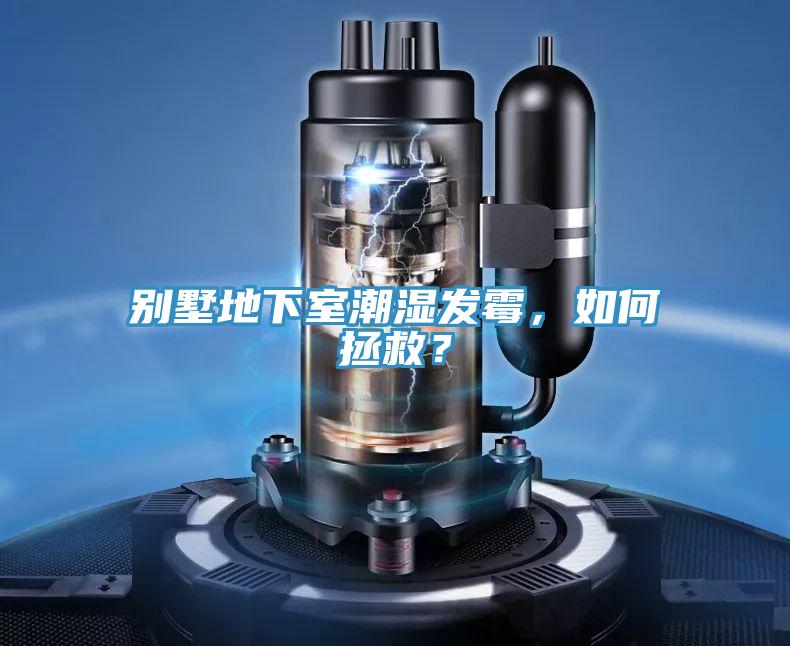 別墅地下室潮濕發霉，如何拯救？