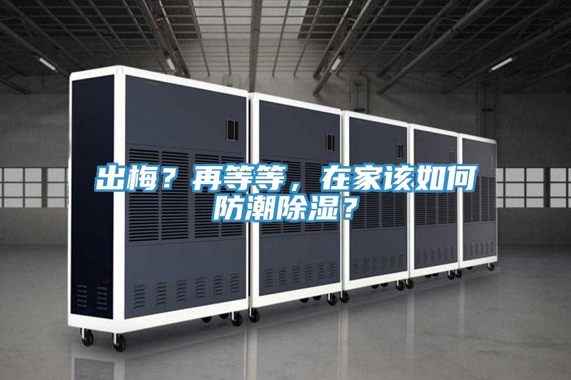 出梅？再等等，在家該如何防潮除濕？