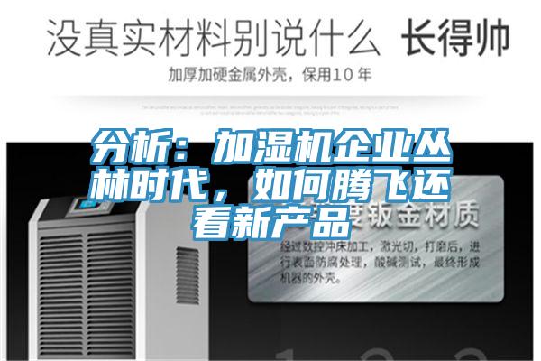 分析：加濕機企業叢林時代，如何騰飛還看新產品