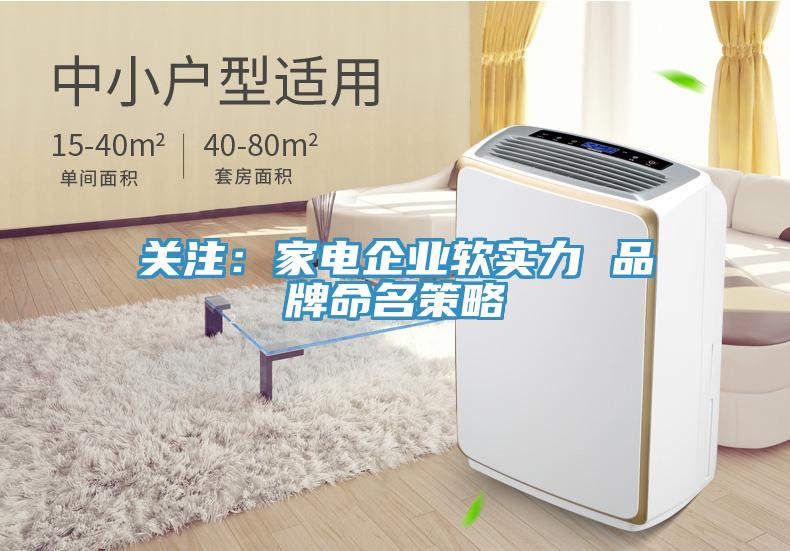 關(guān)注:家電企業(yè)軟實(shí)力 品牌命名策略