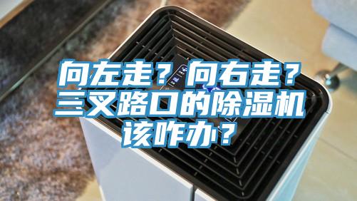 向左走？向右走？三叉路口的除濕機該咋辦？