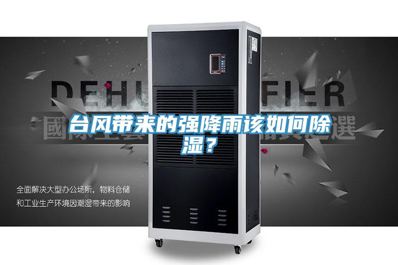臺(tái)風(fēng)帶來(lái)的強(qiáng)降雨該如何除濕?