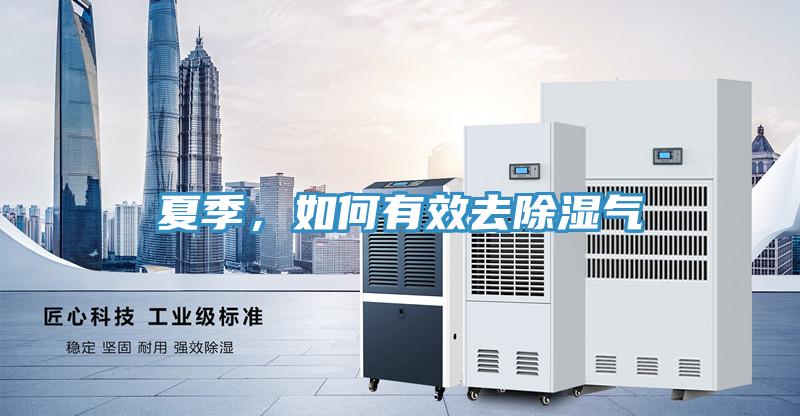 夏季,如何有效去除濕氣