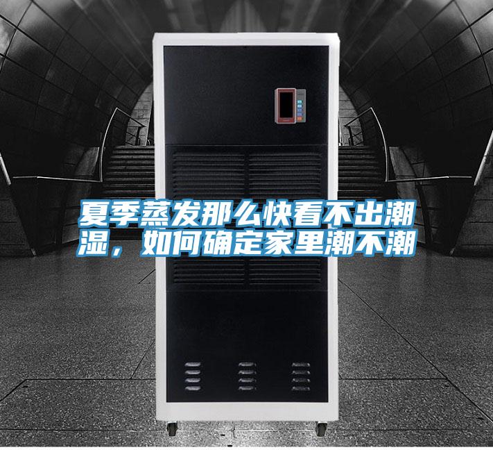 夏季蒸發那么快看不出潮濕，如何確定家里潮不潮