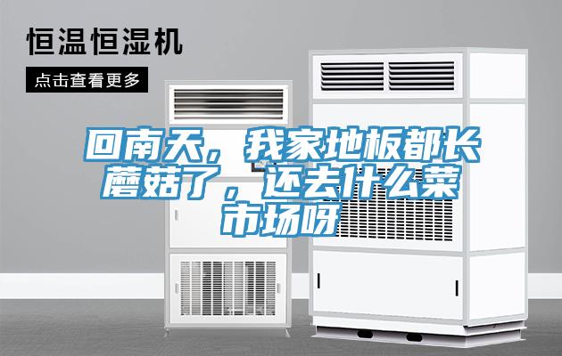 回南天，我家地板都長蘑菇了，還去什么菜市場(chǎng)呀