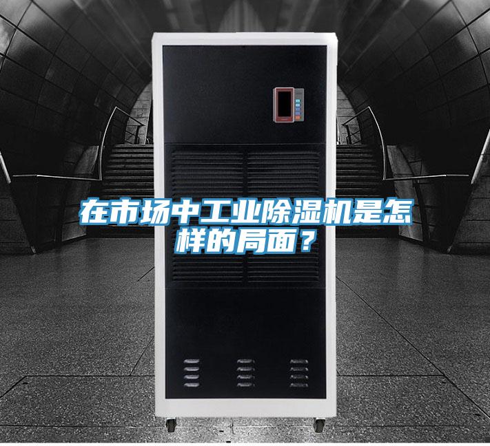 在市場中工業(yè)除濕機(jī)是怎樣的局面?
