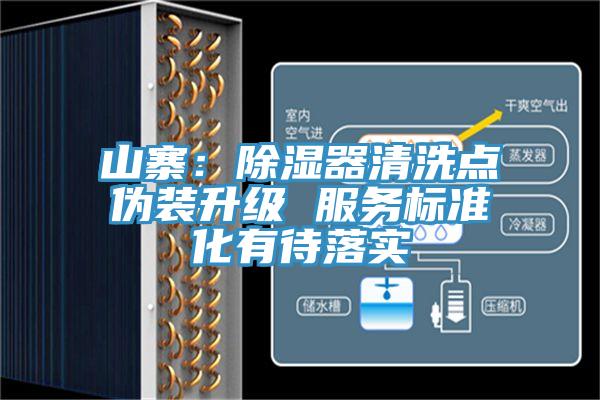 山寨:除濕器清洗點(diǎn)偽裝升級(jí) 服務(wù)標(biāo)準(zhǔn)化有待落實(shí)