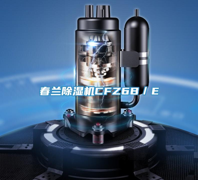 春蘭除濕機CFZ6B/E