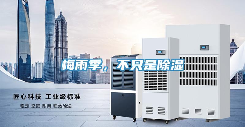 梅雨季,不只是除濕
