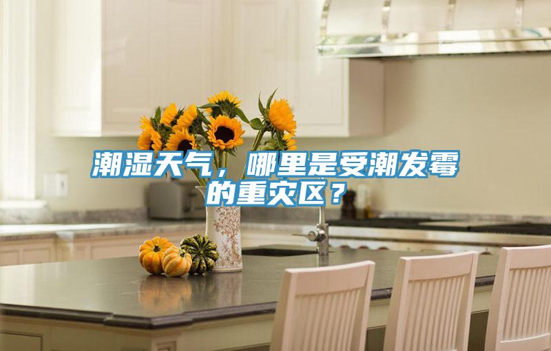 潮濕天氣，哪里是受潮發霉的重災區？