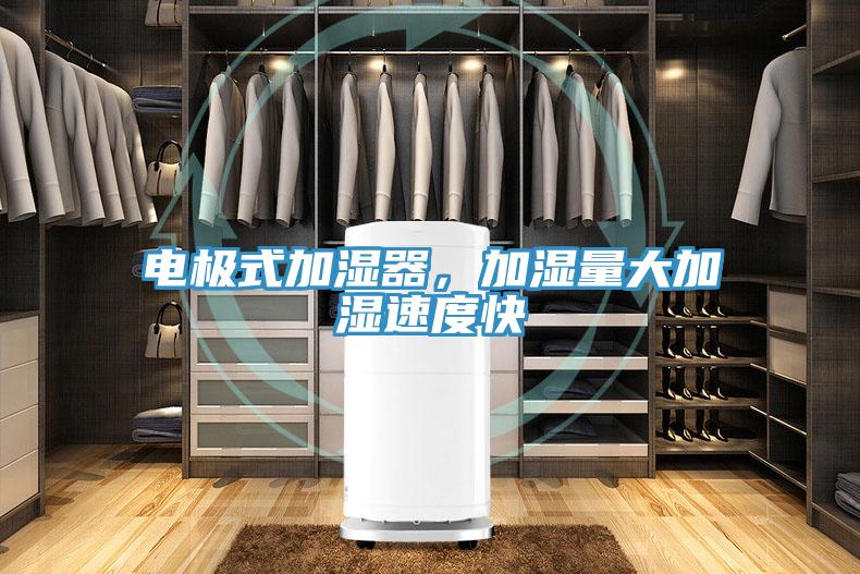 電極式加濕器，加濕量大加濕速度快