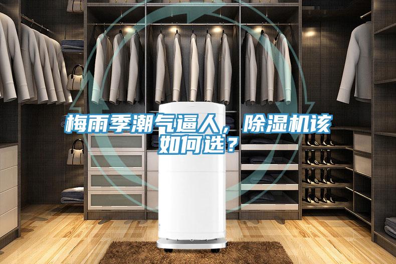 梅雨季潮氣逼人，除濕機該如何選？