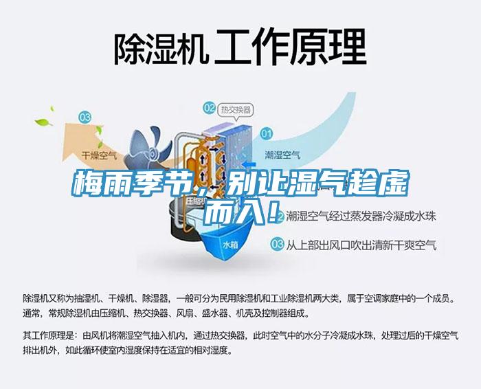 梅雨季節(jié)，別讓濕氣趁虛而入！