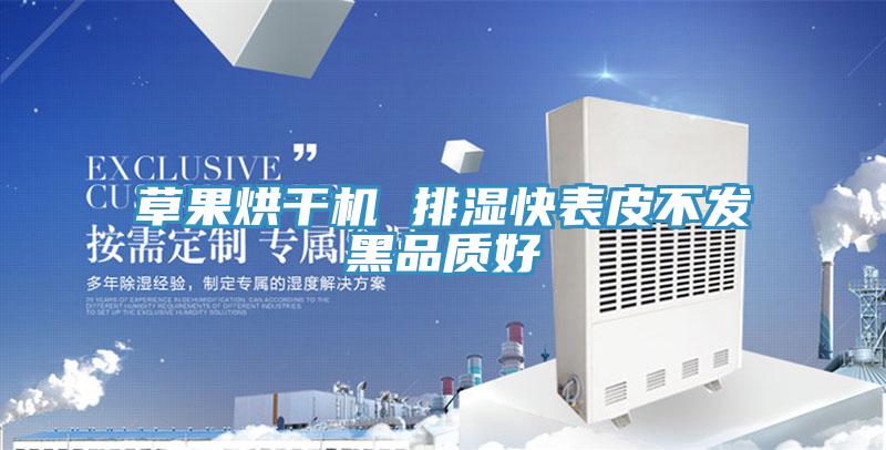 草果烘干機 排濕快表皮不發黑品質好