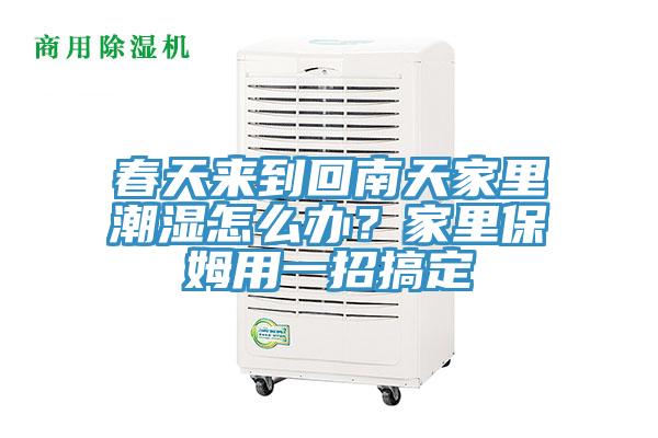 春天來到回南天家里潮濕怎么辦？家里保姆用一招搞定