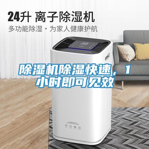 除濕機除濕快速，1小時即可見效