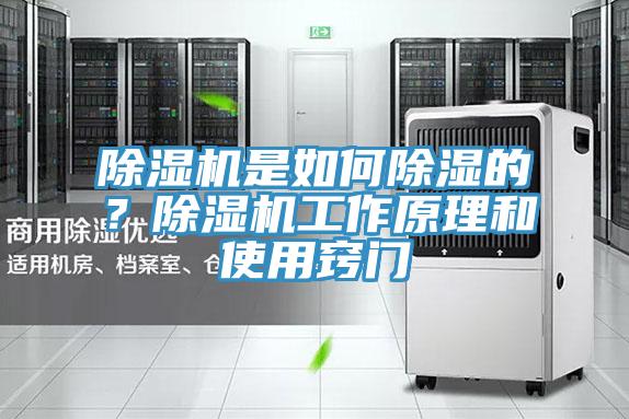 除濕機(jī)是如何除濕的？除濕機(jī)工作原理和使用竅門(mén)