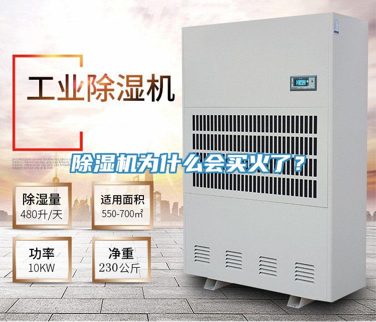 除濕機(jī)為什么會(huì)買火了?
