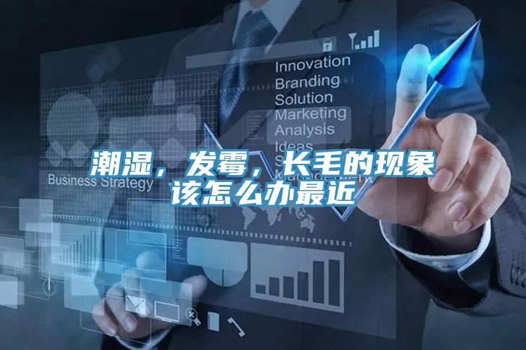 潮濕，發(fā)霉，長毛的現(xiàn)象該怎么辦最近