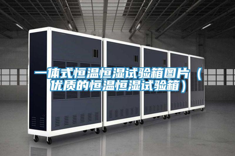 一體式恒溫恒濕試驗箱圖片(優(yōu)質(zhì)的恒溫恒濕試驗箱)