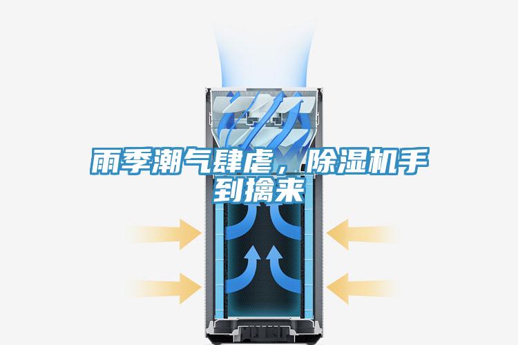 雨季潮氣肆虐，除濕機手到擒來