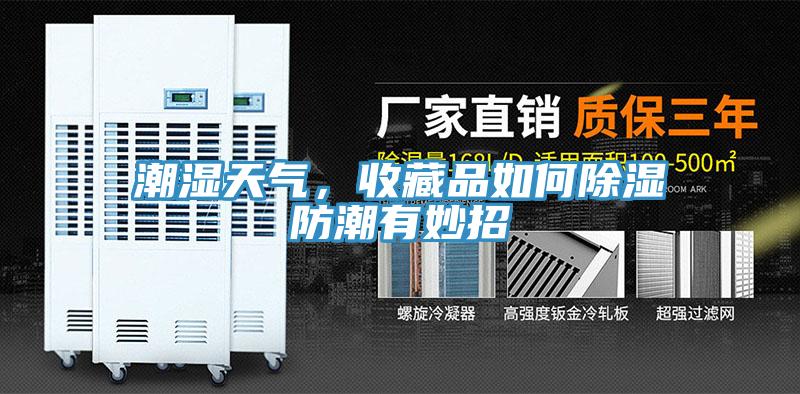 潮濕天氣，收藏品如何除濕防潮有妙招