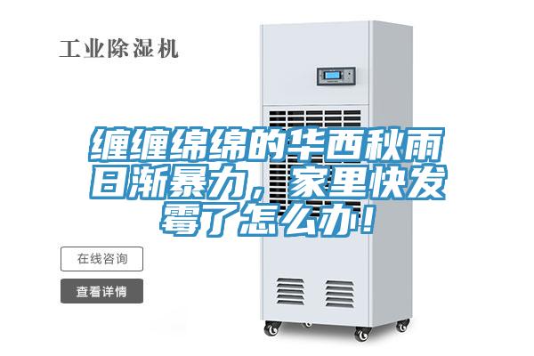 纏纏綿綿的華西秋雨日漸暴力,家里快發(fā)霉了怎么辦!