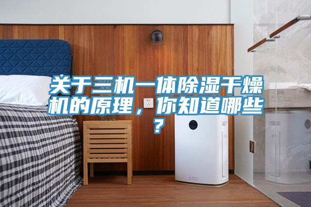 關于三機一體除濕干燥機的原理，你知道哪些？