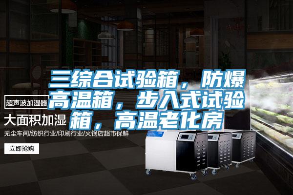 三綜合試驗箱，防爆高溫箱，步入式試驗箱，高溫老化房