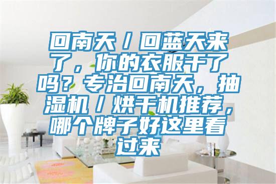 回南天／回藍(lán)天來了，你的衣服干了嗎？專治回南天，抽濕機(jī)／烘干機(jī)推薦，哪個(gè)牌子好這里看過來