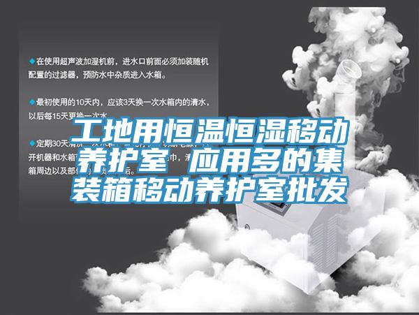 工地用恒溫恒濕移動養護室 應用多的集裝箱移動養護室批發