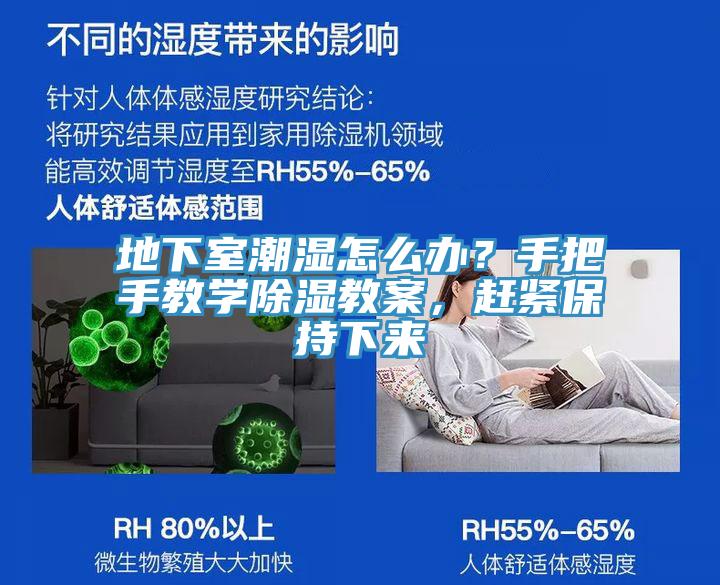 地下室潮濕怎么辦？手把手教學(xué)除濕教案，趕緊保持下來