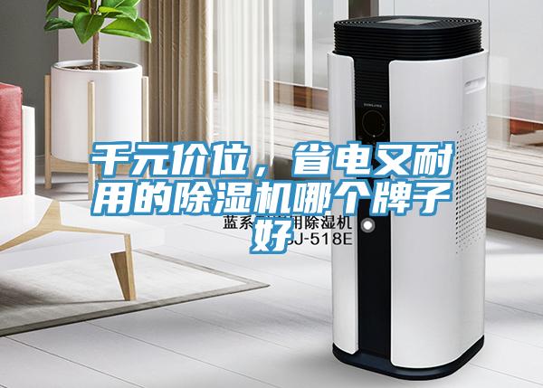 千元價位，省電又耐用的除濕機(jī)哪個牌子好