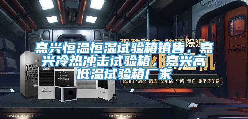 嘉興恒溫恒濕試驗(yàn)箱銷售，嘉興冷熱沖擊試驗(yàn)箱，嘉興高低溫試驗(yàn)箱廠家