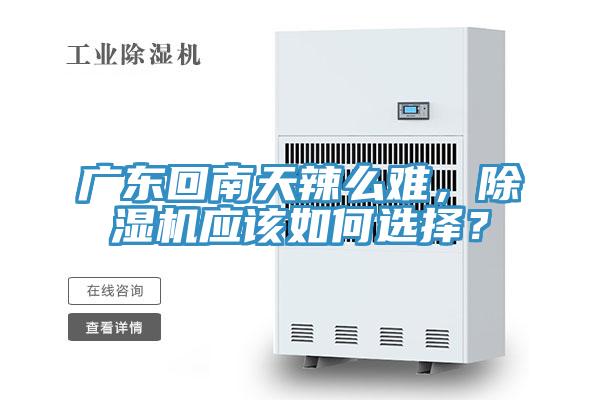 廣東回南天辣么難，除濕機(jī)應(yīng)該如何選擇？