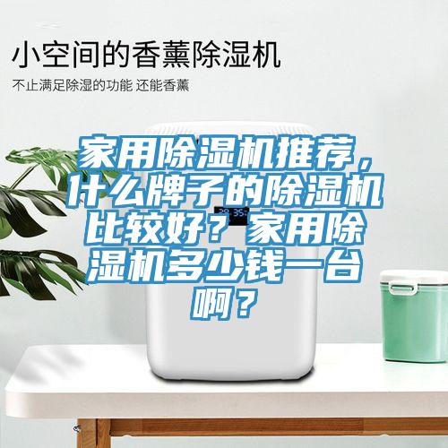 家用除濕機推薦，什么牌子的除濕機比較好？家用除濕機多少錢一臺啊？
