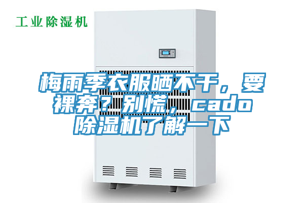 梅雨季衣服曬不干，要裸奔？別慌，cado除濕機了解一下
