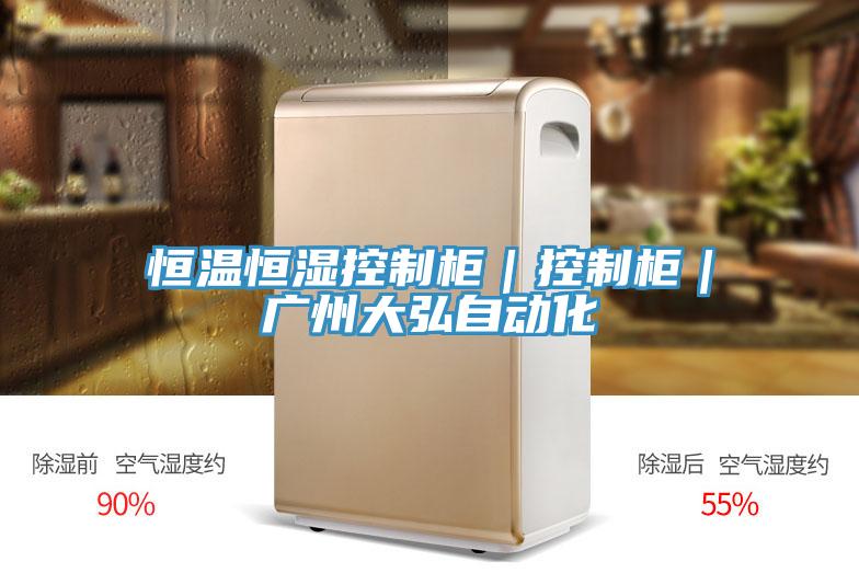 恒溫恒濕控制柜|控制柜|廣州大弘自動(dòng)化