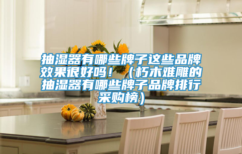 抽濕器有哪些牌子這些品牌效果很好嗎！（朽木難雕的抽濕器有哪些牌子品牌排行采購(gòu)榜）