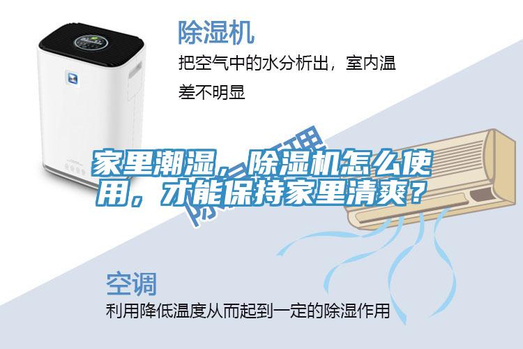 家里潮濕，除濕機怎么使用，才能保持家里清爽？
