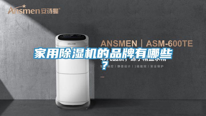 家用除濕機的品牌有哪些?