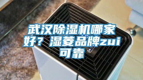 武漢除濕機哪家好?濕菱品牌zui可靠