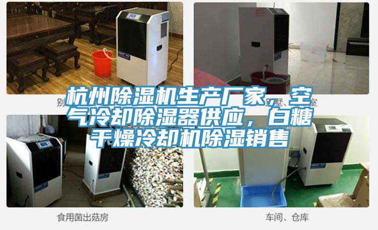 杭州除濕機生產(chǎn)廠家，空氣冷卻除濕器供應(yīng)，白糖干燥冷卻機除濕銷售